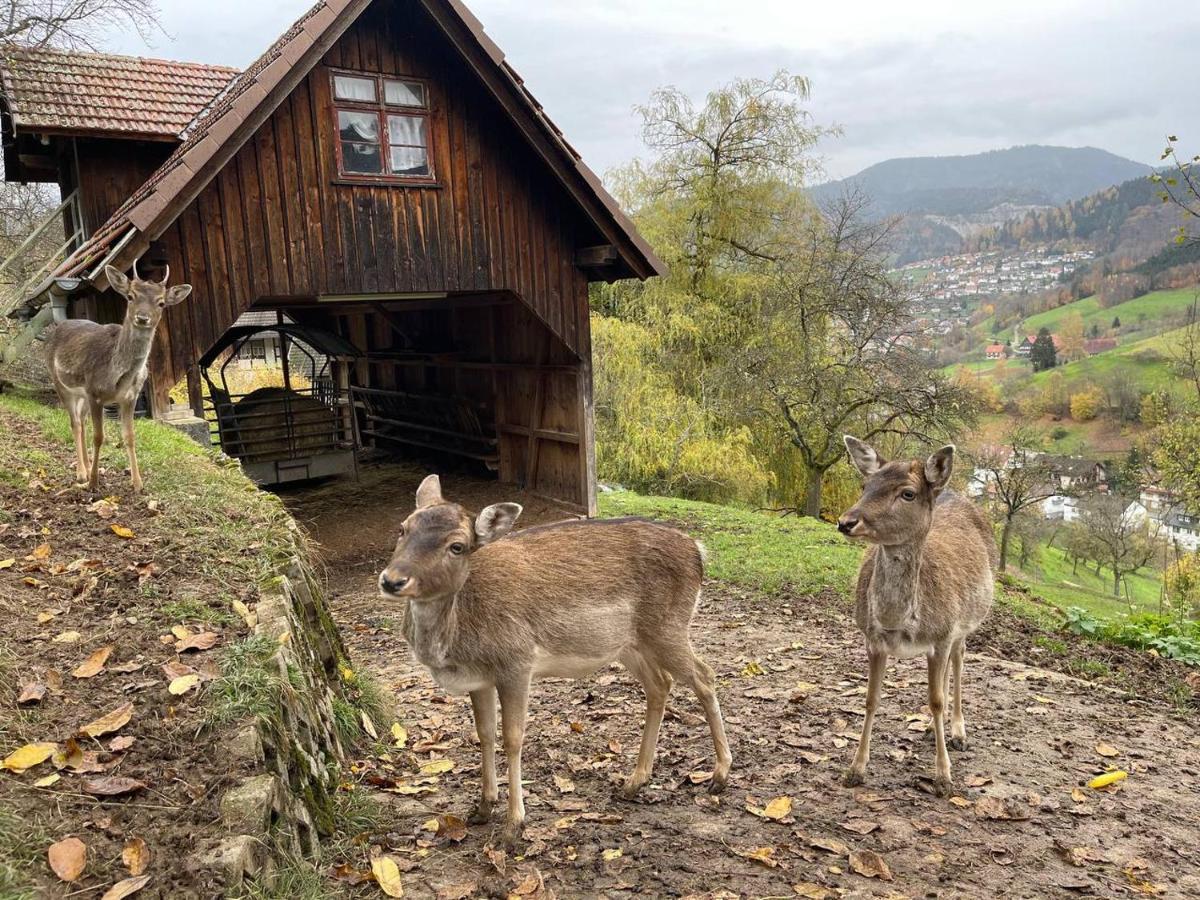 Einzigartiges Apartment, Mitten In Der Apartment Ottenhöfen im Schwarzwald