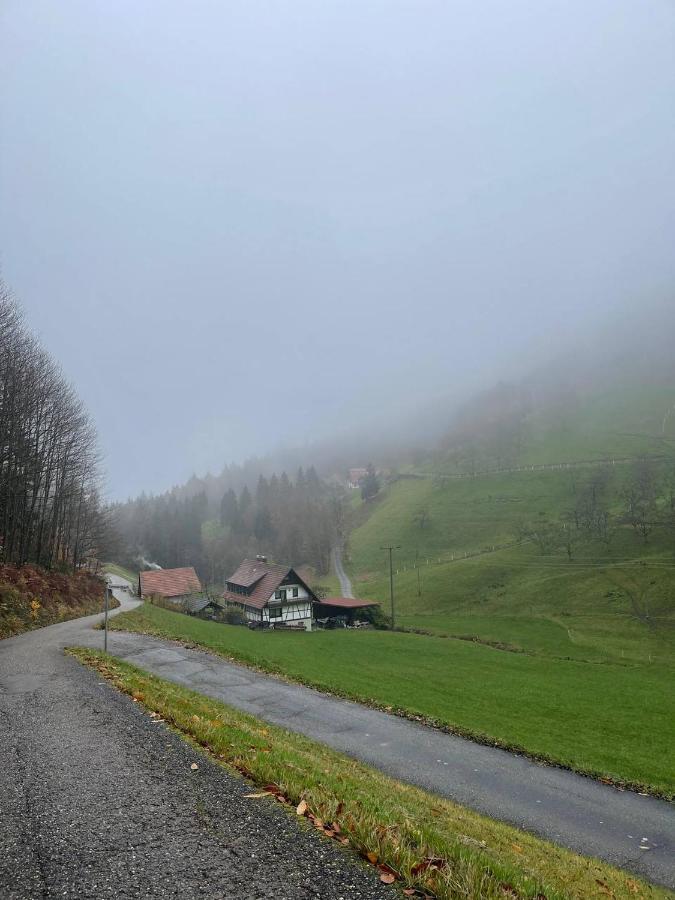 Apartment Einzigartiges Apartment, Mitten In Der Ottenhöfen im Schwarzwald